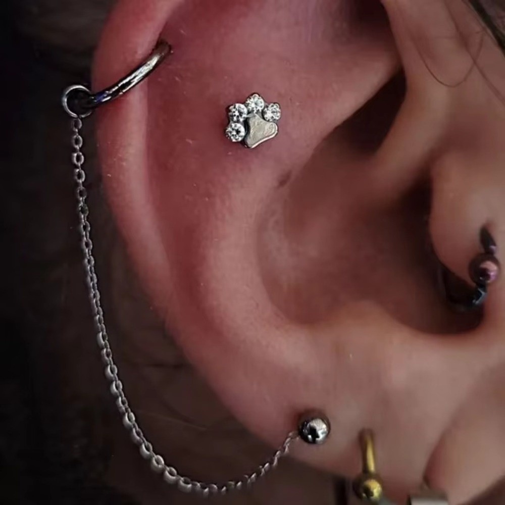 Titanyum Burun Zinciri Üç Katm - Body Jewelry Ear Piercing incelemesi ve fiyatı