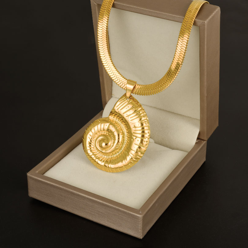 1 adet paslanmaz çelik büyük d - Conch Earring Hoop incelemesi ve fiyatı